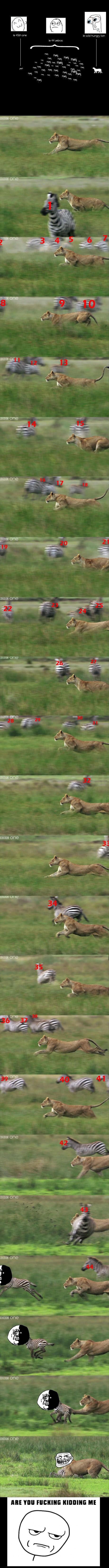 Bildschirmarbeiter - Picdump 15.02.2013