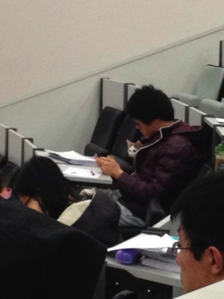 Bildschirmarbeiter - Picdump 01.03.2013