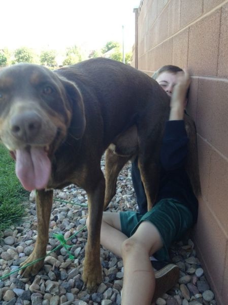 Bildschirmarbeiter - Picdump 01.03.2013