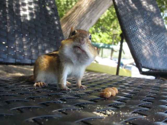 Bildschirmarbeiter - Picdump 01.03.2013