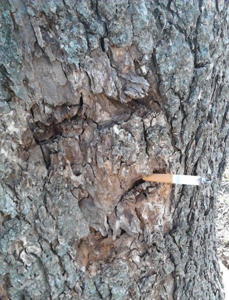 Bildschirmarbeiter - Picdump 01.03.2013