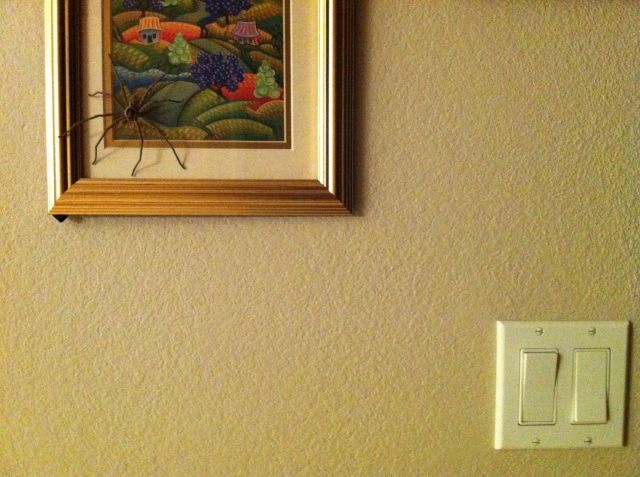 Bildschirmarbeiter - Picdump 15.03.2013