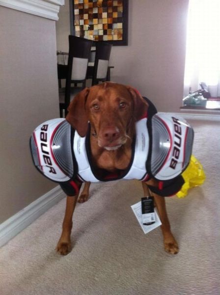 Bildschirmarbeiter - Picdump 15.03.2013