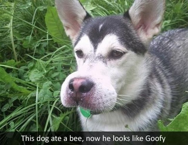 Bildschirmarbeiter - Picdump 15.03.2013