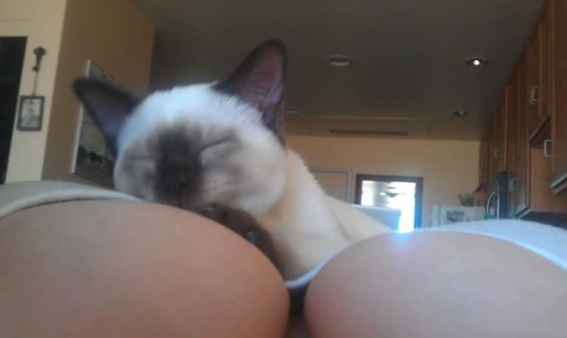 Bildschirmarbeiter - Picdump 15.03.2013