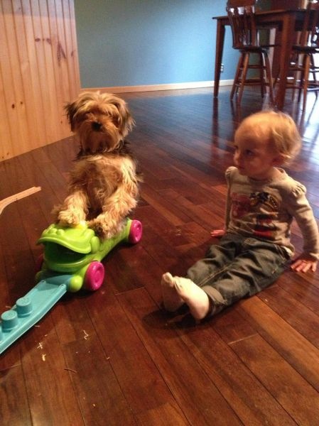 Bildschirmarbeiter - Picdump 15.03.2013