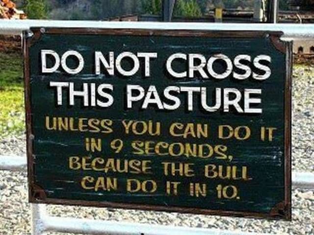 Bildschirmarbeiter - Picdump 15.03.2013