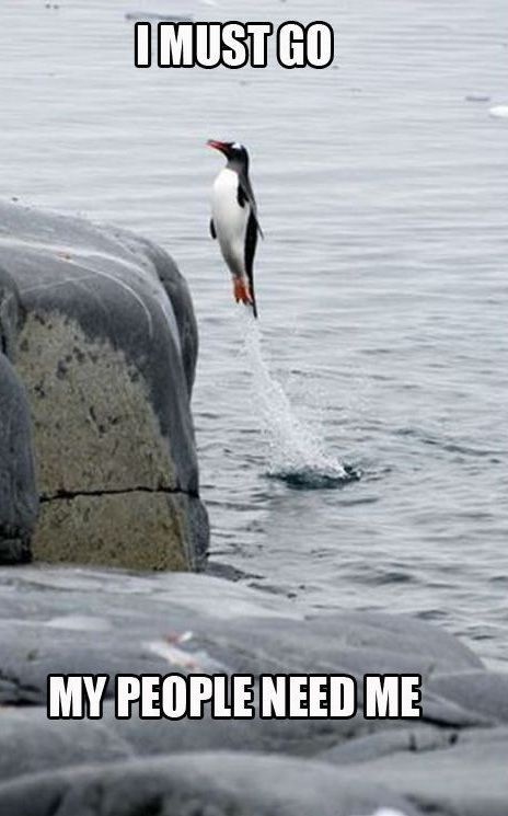 Bildschirmarbeiter - Picdump 15.03.2013