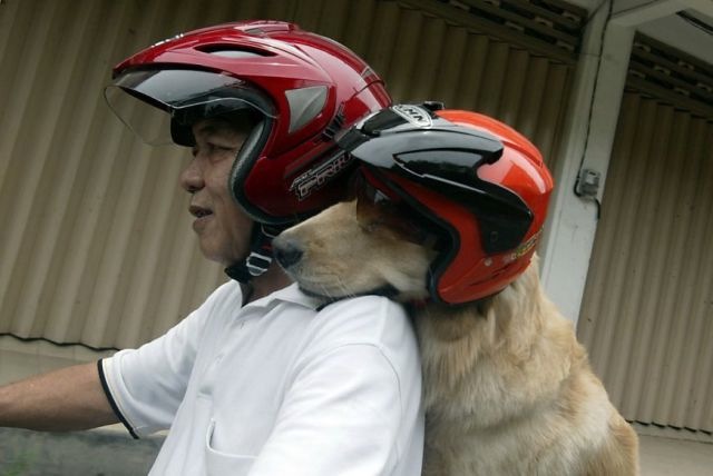 Bildschirmarbeiter - Picdump 15.03.2013