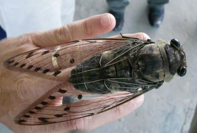 Bildschirmarbeiter - Picdump 15.03.2013