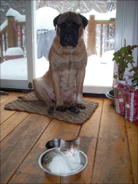 Bildschirmarbeiter - Picdump 15.03.2013