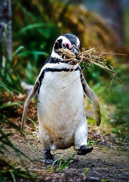 Bildschirmarbeiter - Picdump 15.03.2013