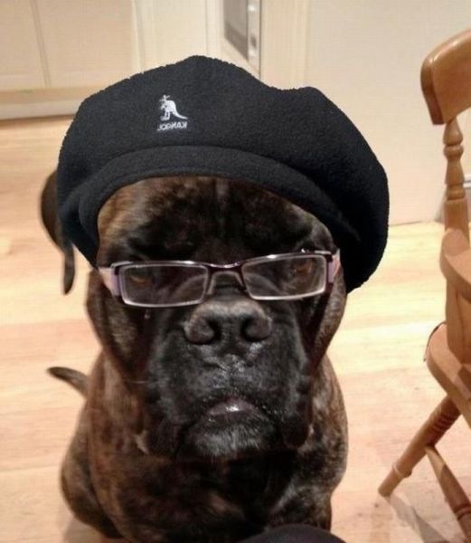 Bildschirmarbeiter - Picdump 15.03.2013