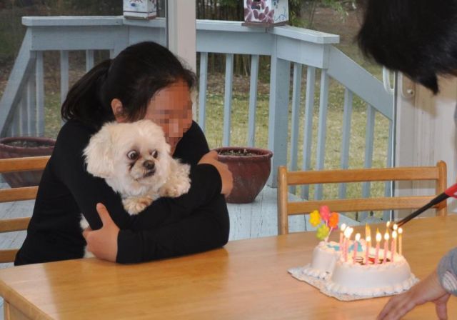 Bildschirmarbeiter - Picdump 29.03.2013