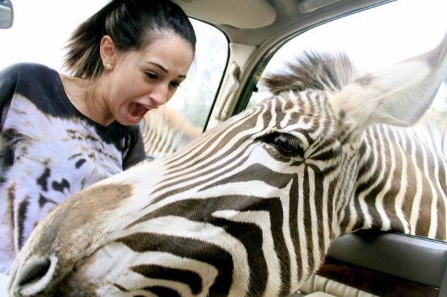 Bildschirmarbeiter - Picdump 29.03.2013