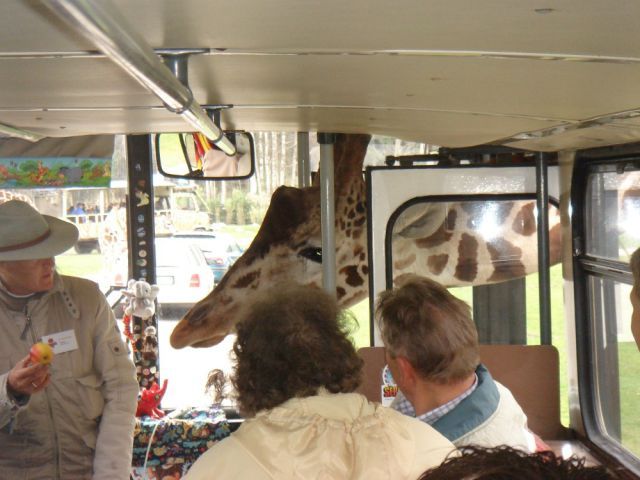 Bildschirmarbeiter - Picdump 29.03.2013