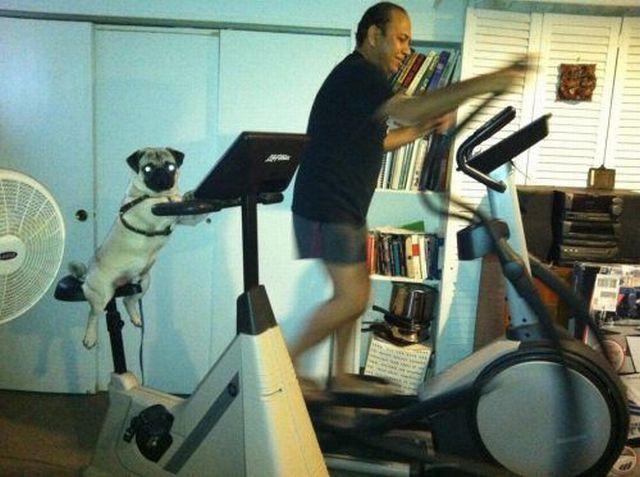 Bildschirmarbeiter - Picdump 29.03.2013