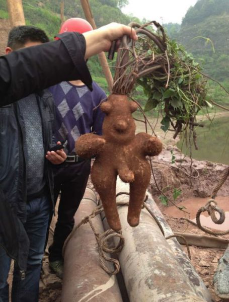 Bildschirmarbeiter - Picdump 29.03.2013