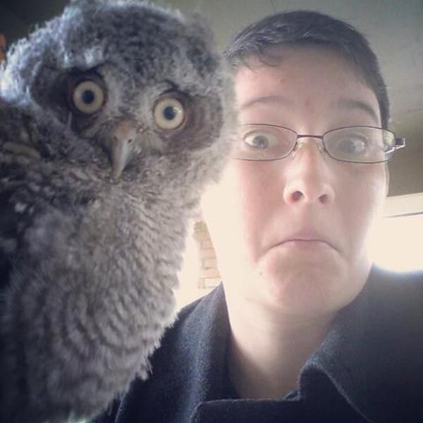 Bildschirmarbeiter - Picdump 05.04.2013