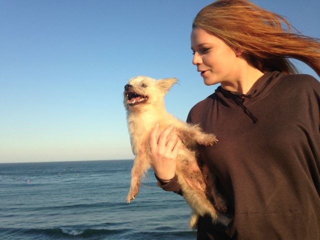 Bildschirmarbeiter - Picdump 05.04.2013