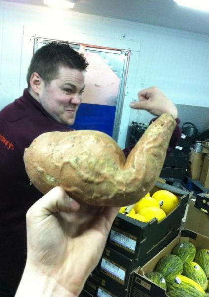 Bildschirmarbeiter - Picdump 05.04.2013