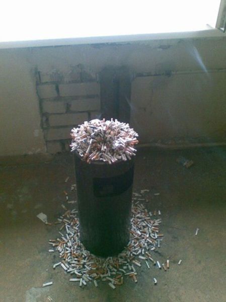 Bildschirmarbeiter - Picdump 05.04.2013