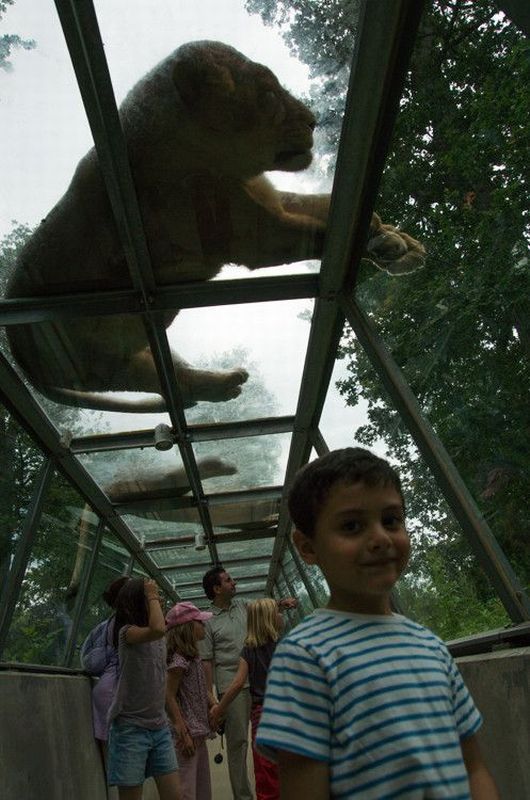 Bildschirmarbeiter - Picdump 05.04.2013