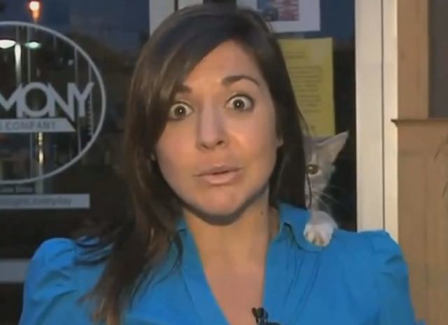 Bildschirmarbeiter - Picdump 19.04.2013