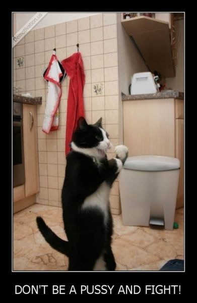 Bildschirmarbeiter - Picdump 19.04.2013