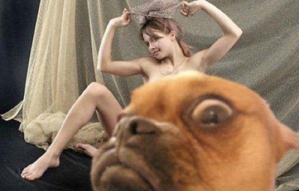 Bildschirmarbeiter - Picdump 19.04.2013