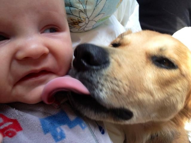 Bildschirmarbeiter - Picdump 19.04.2013