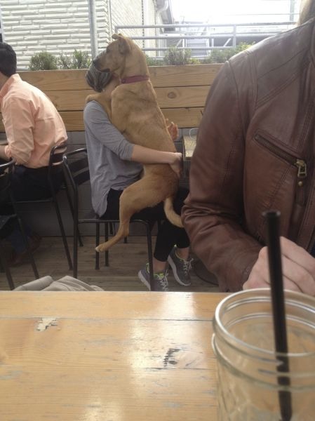 Bildschirmarbeiter - Picdump 19.04.2013