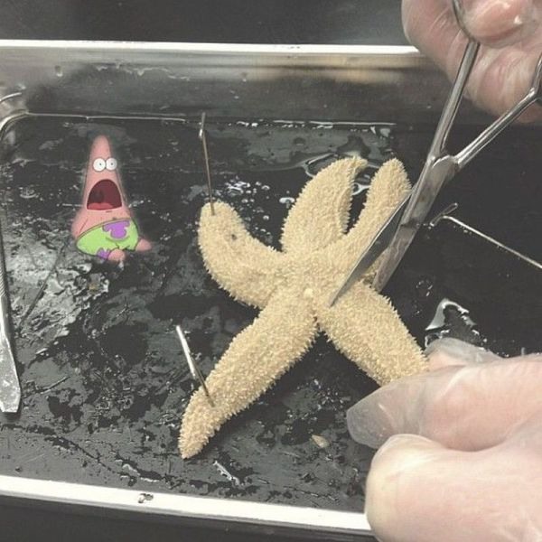 Bildschirmarbeiter - Picdump 19.04.2013