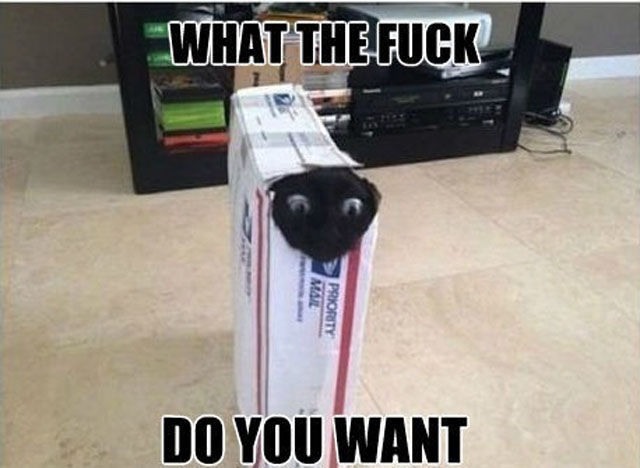 Bildschirmarbeiter - Picdump 19.04.2013