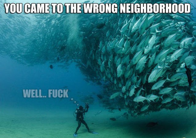 Bildschirmarbeiter - Picdump 19.04.2013