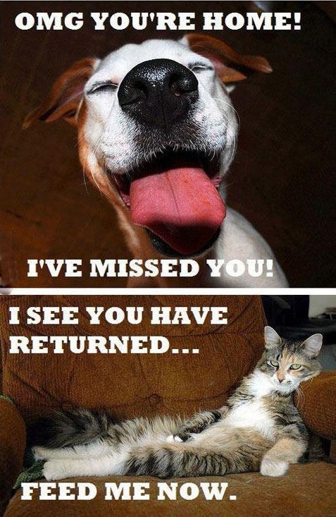 Bildschirmarbeiter - Picdump 19.04.2013