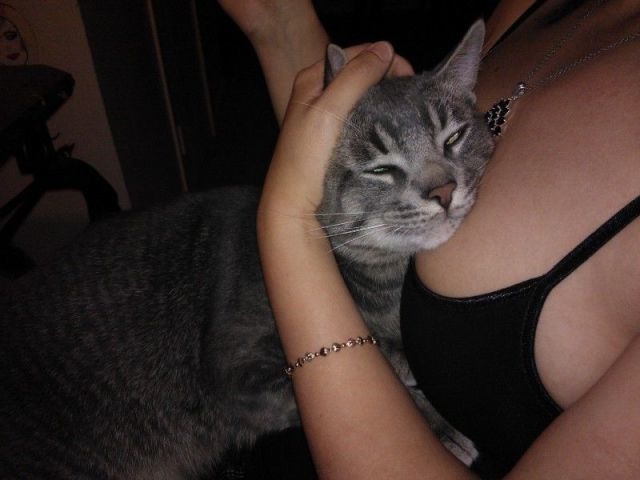 Bildschirmarbeiter - Picdump 26.04.2013