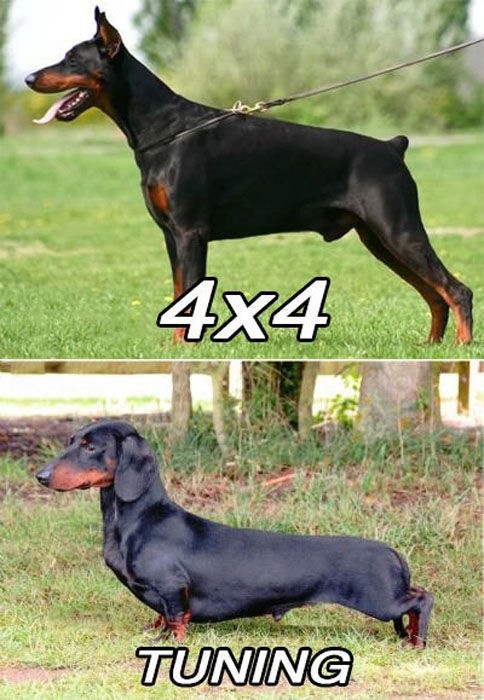 Bildschirmarbeiter - Picdump 26.04.2013