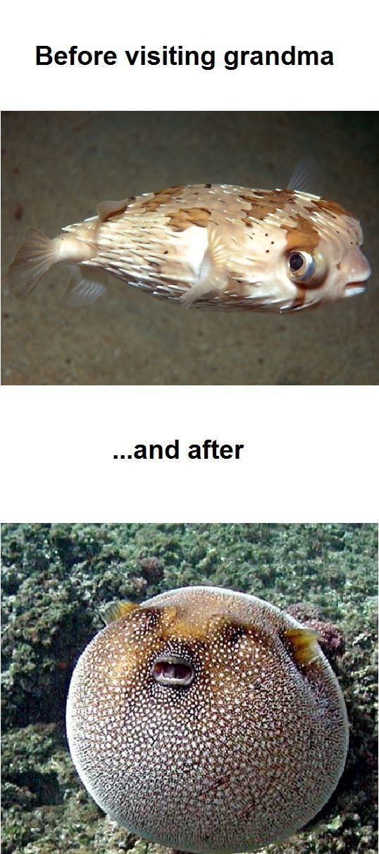 Bildschirmarbeiter - Picdump 26.04.2013