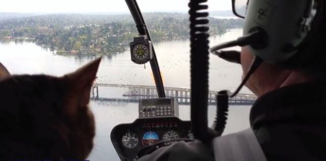 Bildschirmarbeiter - Picdump 03.05.2013