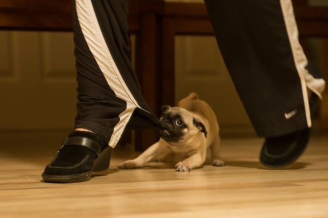 Bildschirmarbeiter - Picdump 03.05.2013