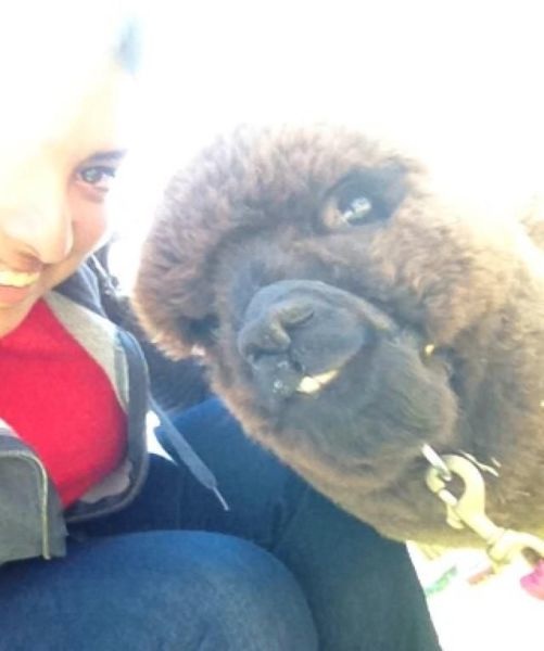 Bildschirmarbeiter - Picdump 03.05.2013