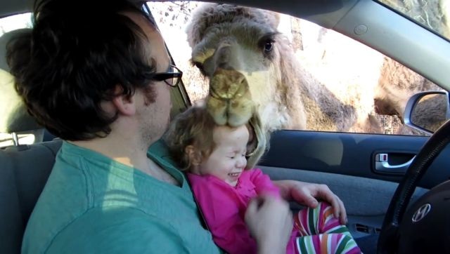 Bildschirmarbeiter - Picdump 03.05.2013