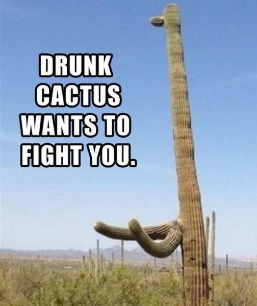 Bildschirmarbeiter - Picdump 03.05.2013