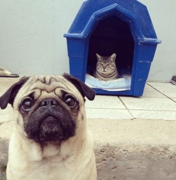 Bildschirmarbeiter - Picdump 03.05.2013