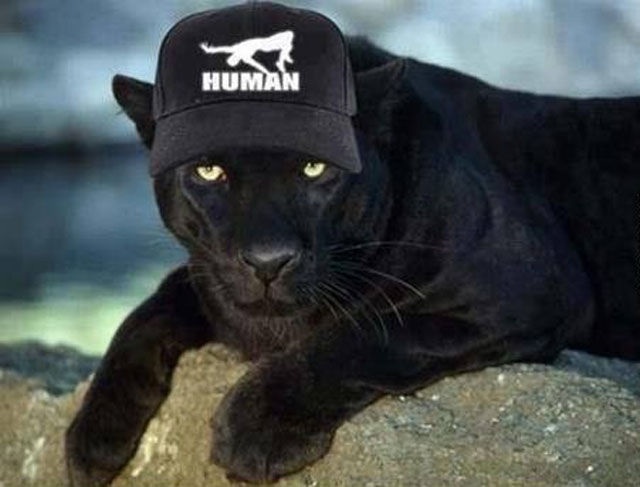 Bildschirmarbeiter - Picdump 03.05.2013