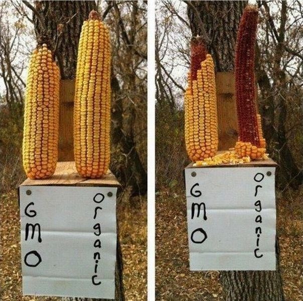 Bildschirmarbeiter - Picdump 03.05.2013