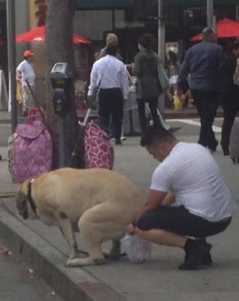 Bildschirmarbeiter - Picdump 10.05.2013