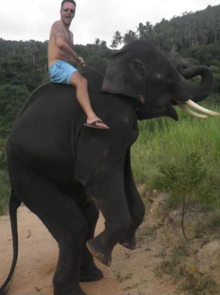 Bildschirmarbeiter - Picdump 10.05.2013