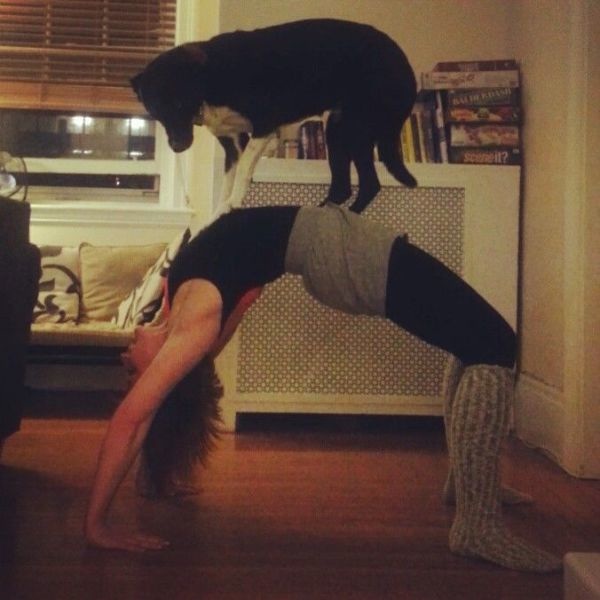 Bildschirmarbeiter - Picdump 10.05.2013